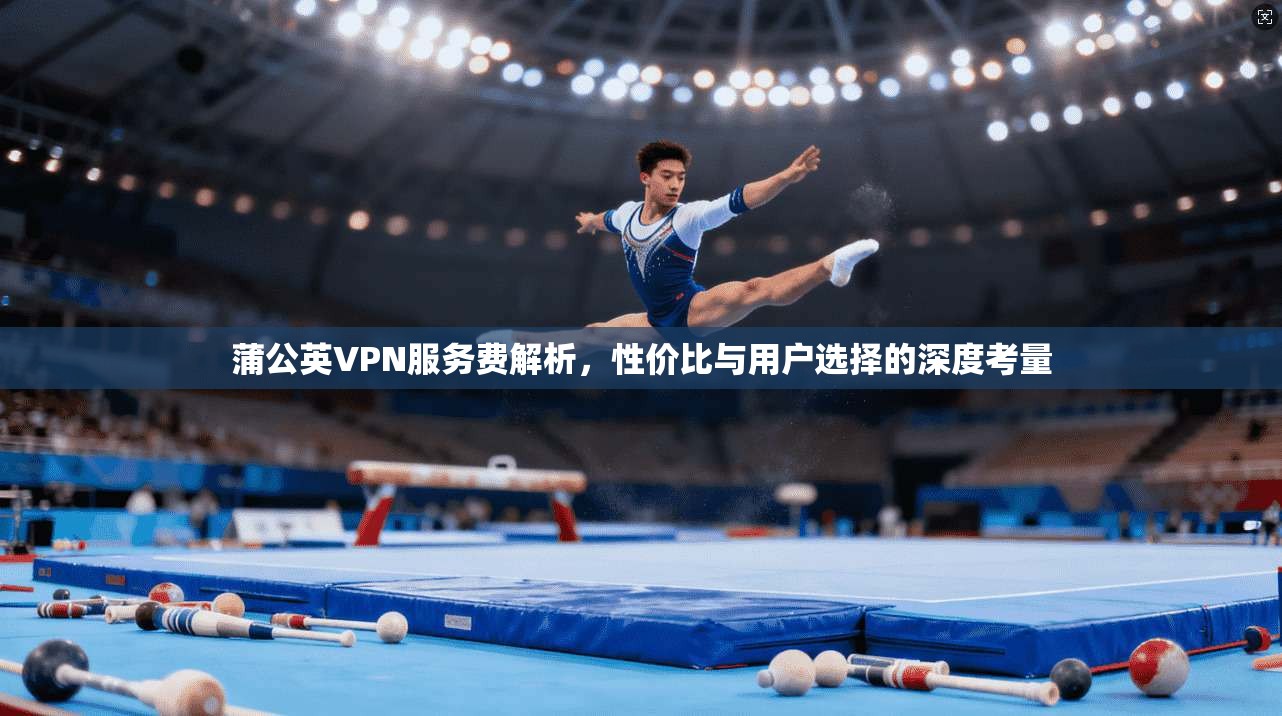 蒲公英VPN服务费解析，性价比与用户选择的深度考量