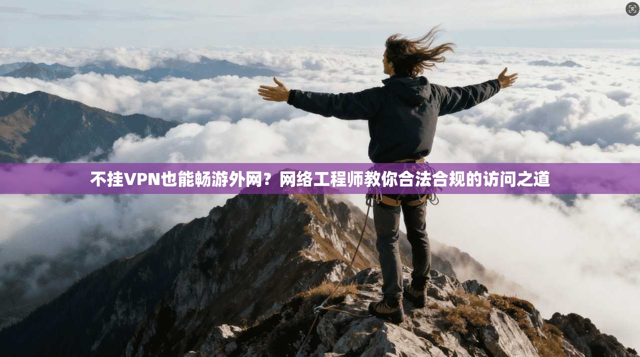 不挂VPN也能畅游外网？网络工程师教你合法合规的访问之道