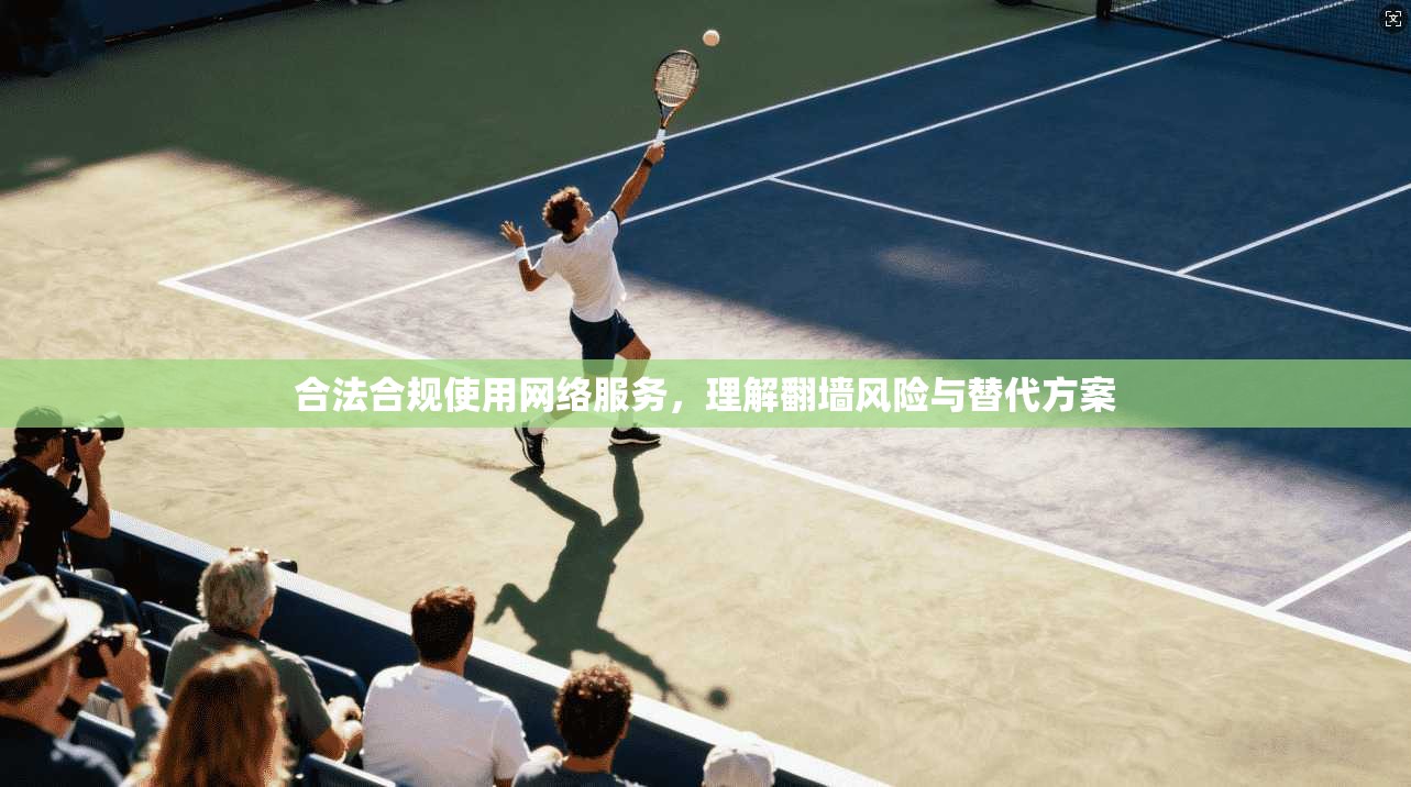 合法合规使用网络服务，理解翻墙风险与替代方案