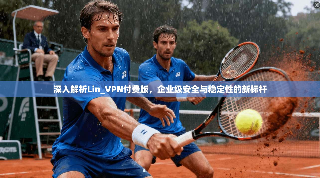 深入解析Lin_VPN付费版，企业级安全与稳定性的新标杆