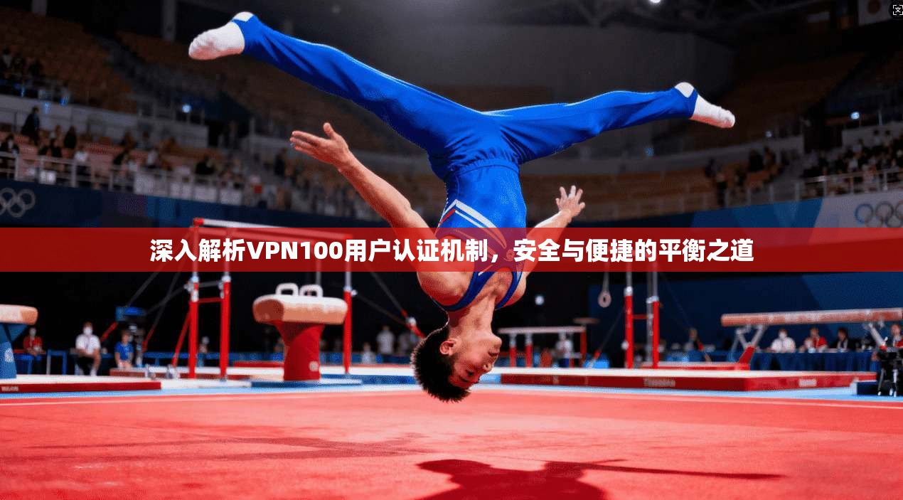 深入解析VPN100用户认证机制，安全与便捷的平衡之道