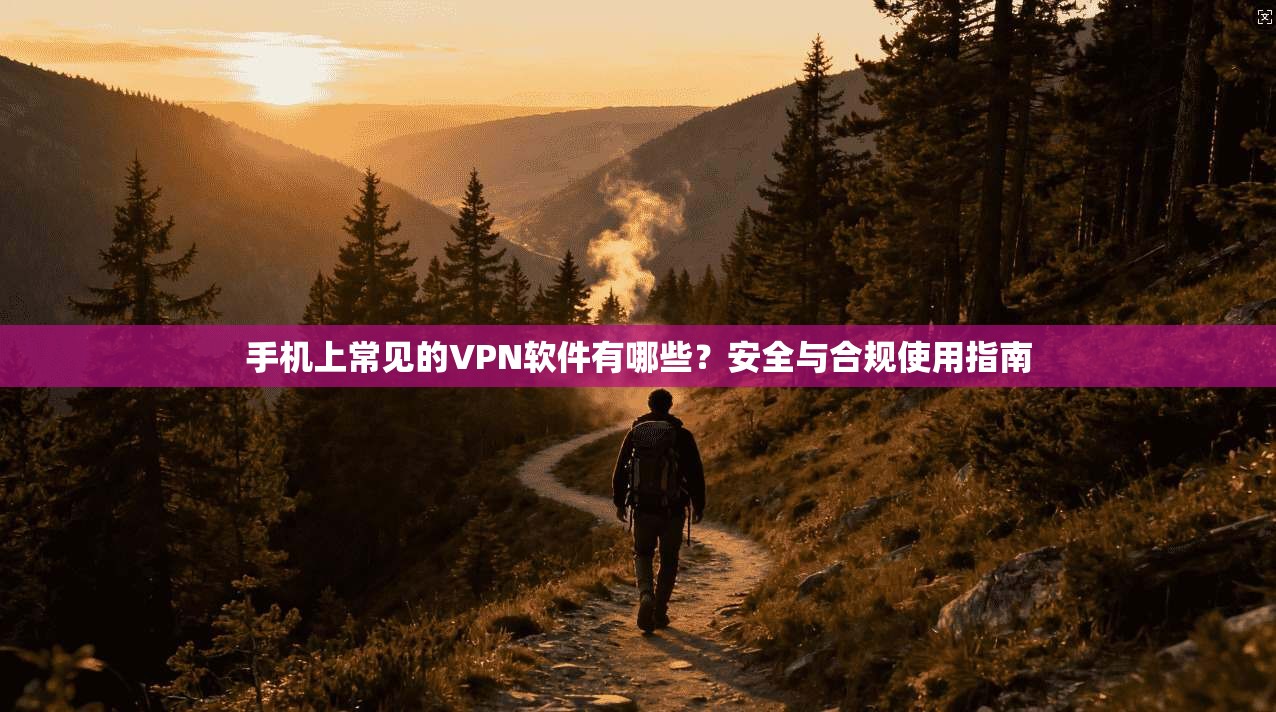 手机上常见的VPN软件有哪些？安全与合规使用指南