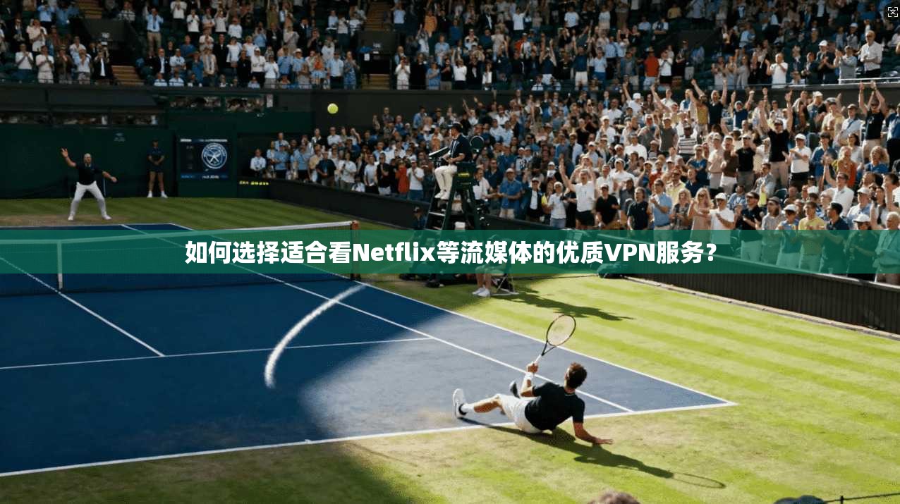 如何选择适合看Netflix等流媒体的优质VPN服务?