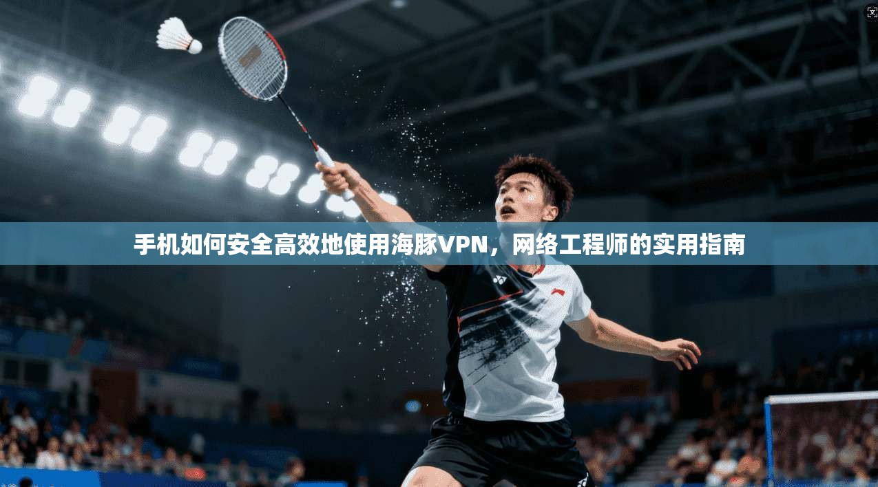 手机如何安全高效地使用海豚VPN，网络工程师的实用指南