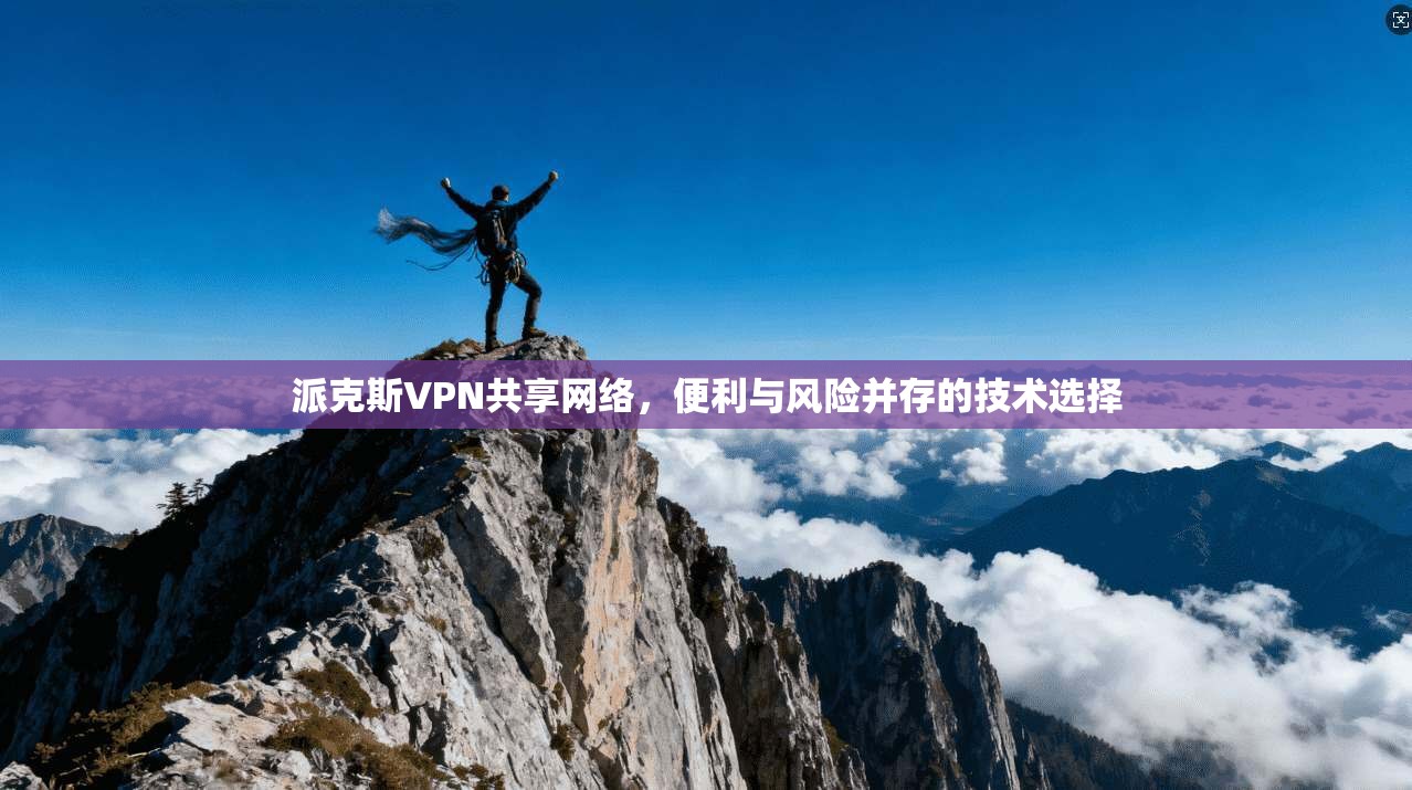 派克斯VPN共享网络，便利与风险并存的技术选择