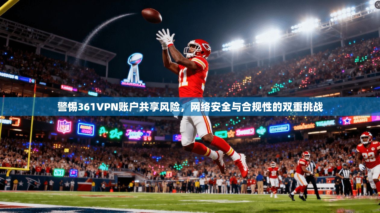 警惕361VPN账户共享风险,网络安全与合规性的双重挑战