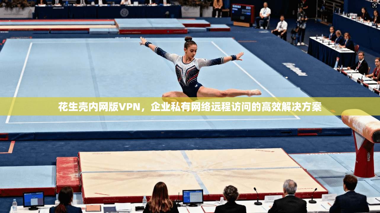 花生壳内网版VPN，企业私有网络远程访问的高效解决方案