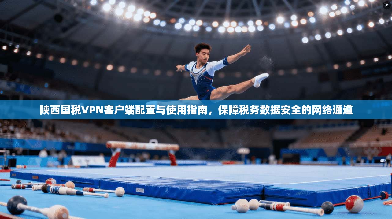 陕西国税VPN客户端配置与使用指南，保障税务数据安全的网络通道