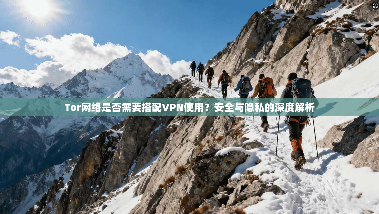 Tor网络是否需要搭配VPN使用？安全与隐私的深度解析