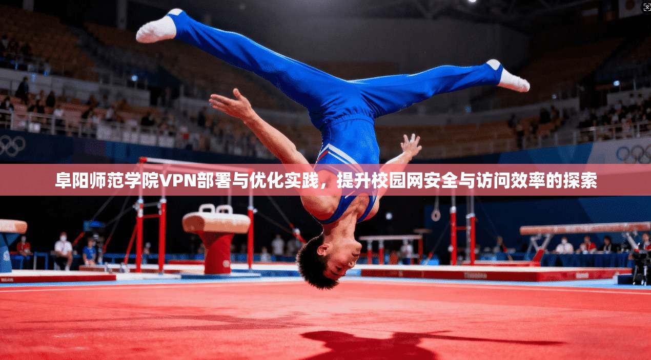 阜阳师范学院VPN部署与优化实践，提升校园网安全与访问效率的探索