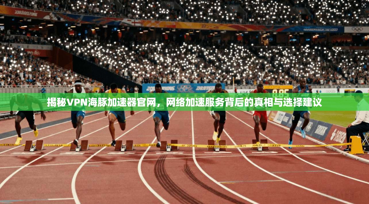 揭秘VPN海豚加速器官网，网络加速服务背后的真相与选择建议