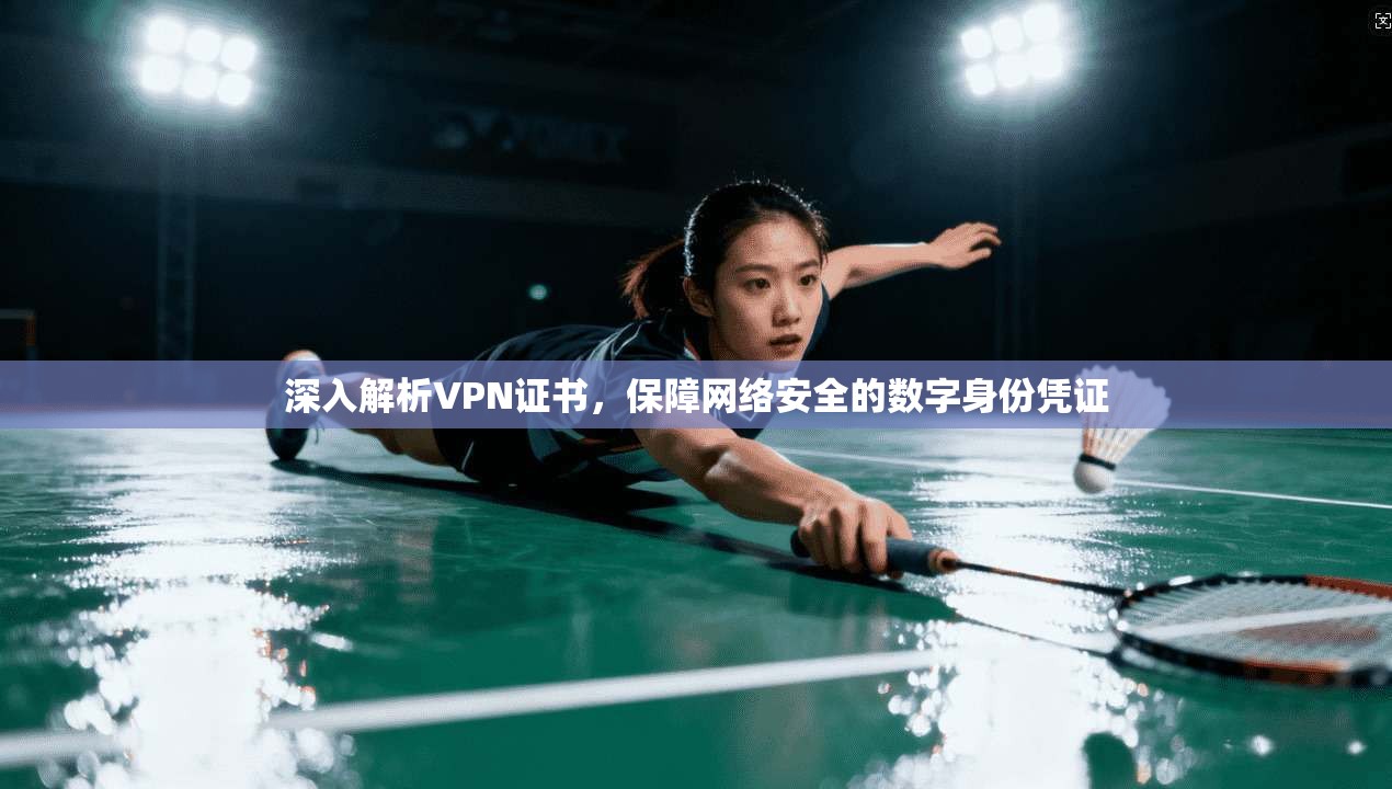 深入解析VPN证书，保障网络安全的数字身份凭证