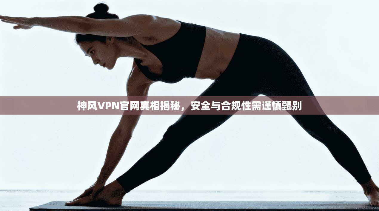 神风VPN官网真相揭秘，安全与合规性需谨慎甄别
