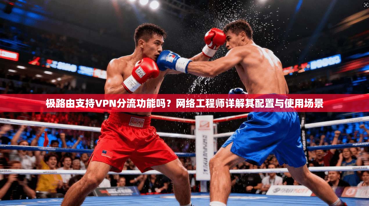 极路由支持VPN分流功能吗？网络工程师详解其配置与使用场景