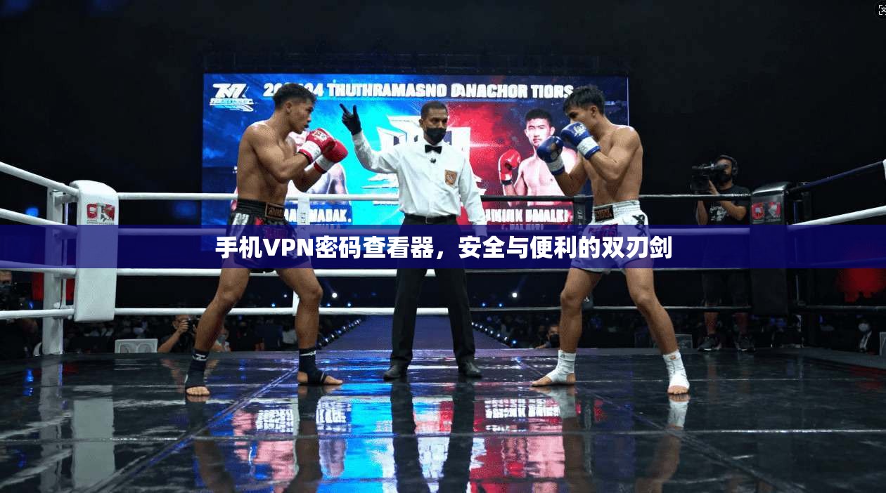 手机VPN密码查看器，安全与便利的双刃剑