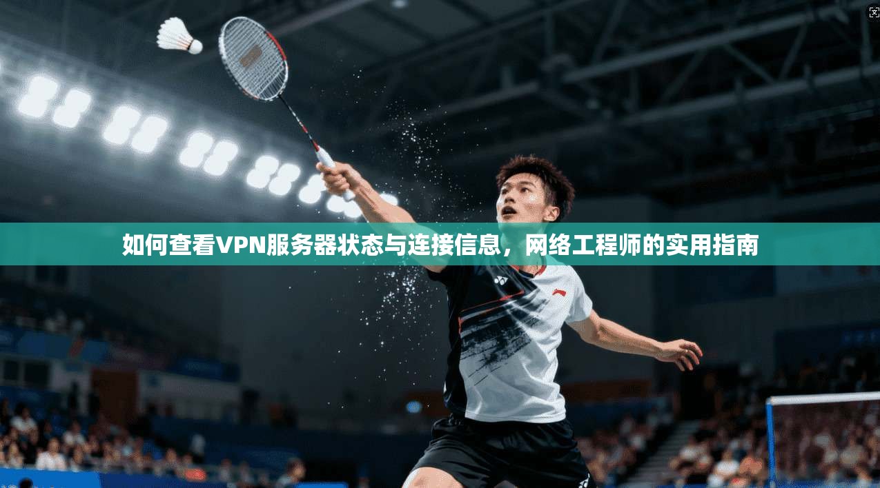 如何查看VPN服务器状态与连接信息，网络工程师的实用指南
