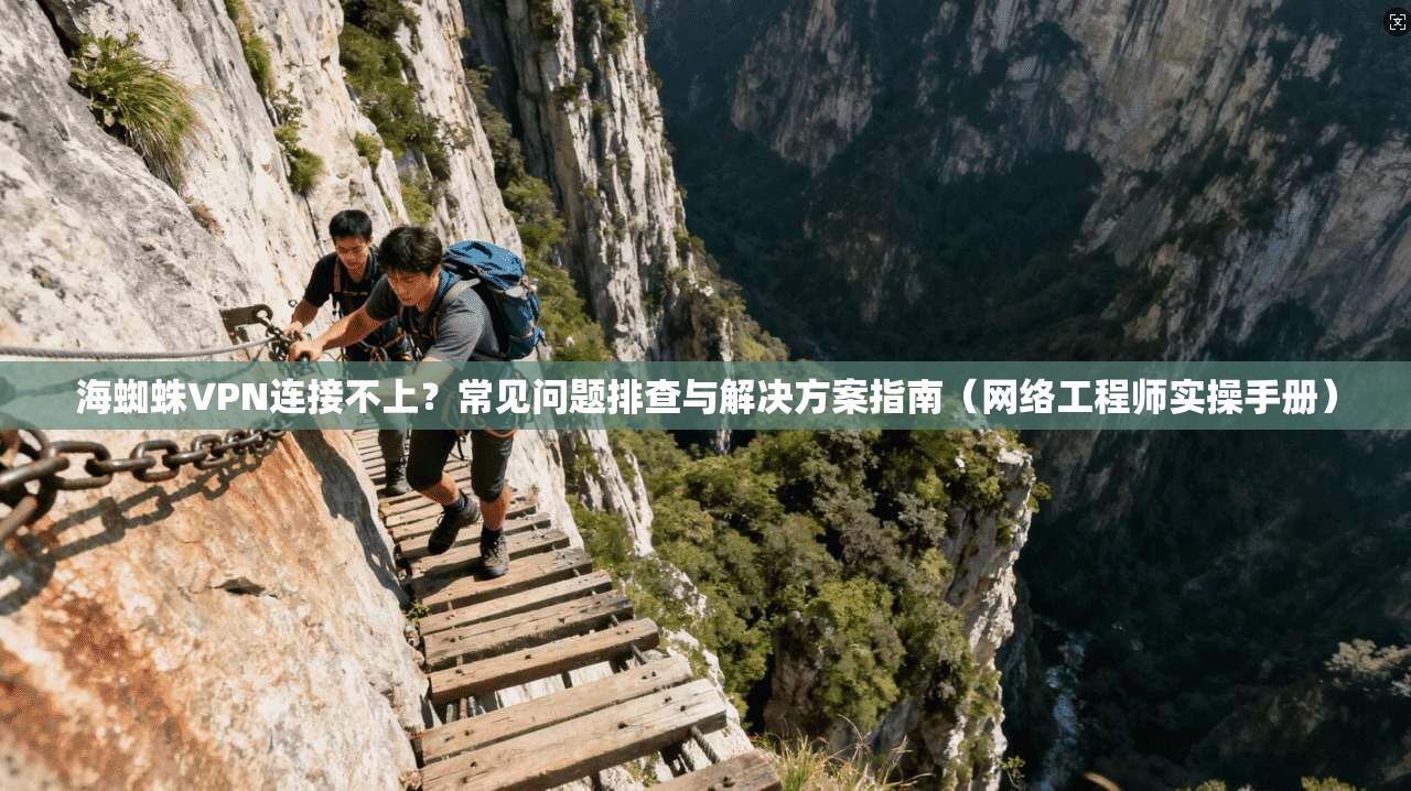 海蜘蛛VPN连接不上？常见问题排查与解决方案指南（网络工程师实操手册）