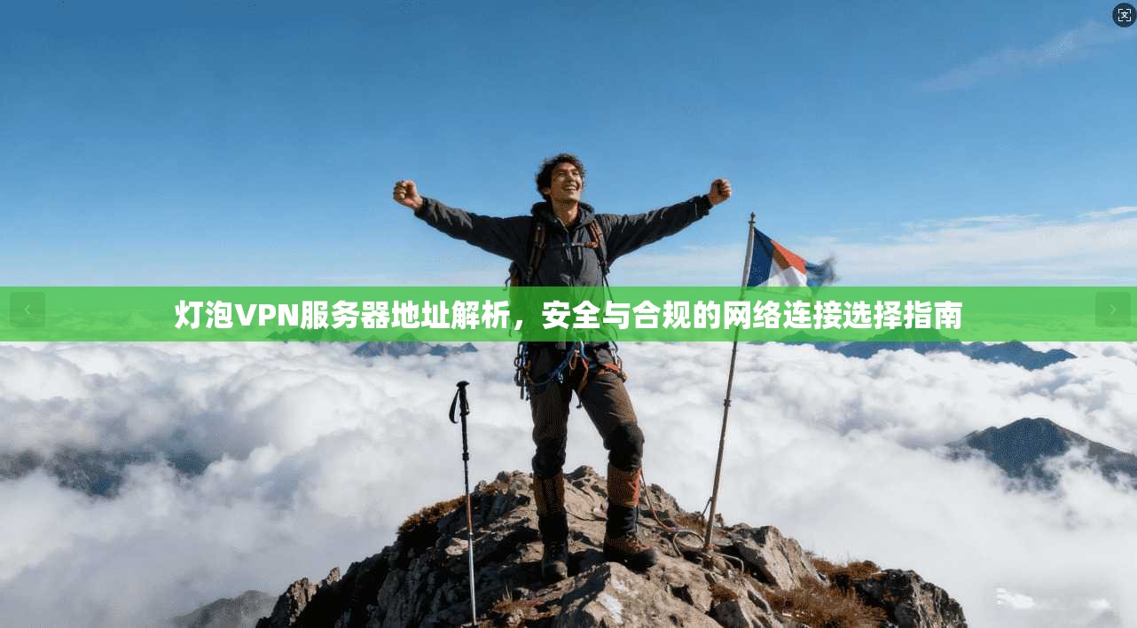 灯泡VPN服务器地址解析，安全与合规的网络连接选择指南