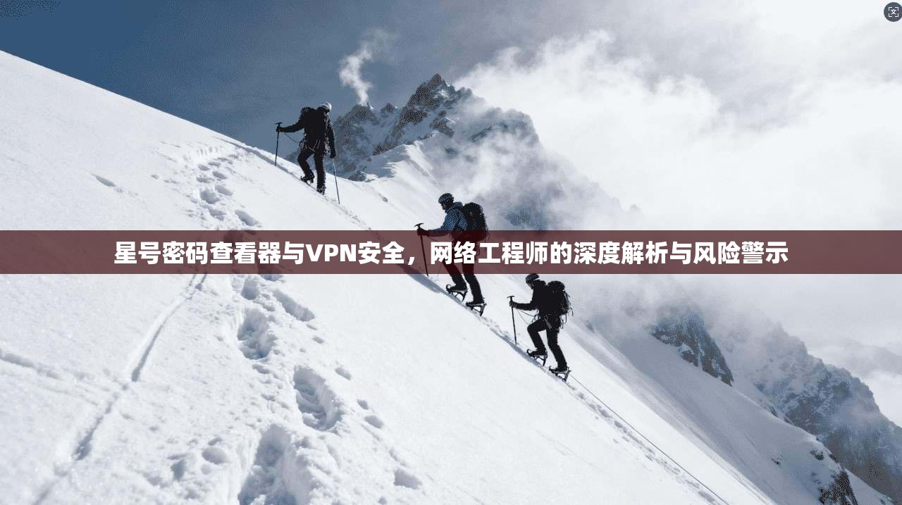 星号密码查看器与VPN安全,网络工程师的深度解析与风险警示