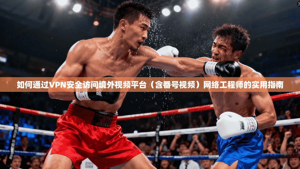 如何通过VPN安全访问境外视频平台(含番号视频)网络工程师的实用指南