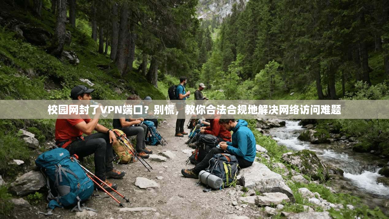 校园网封了VPN端口?别慌,教你合法合规地解决网络访问难题