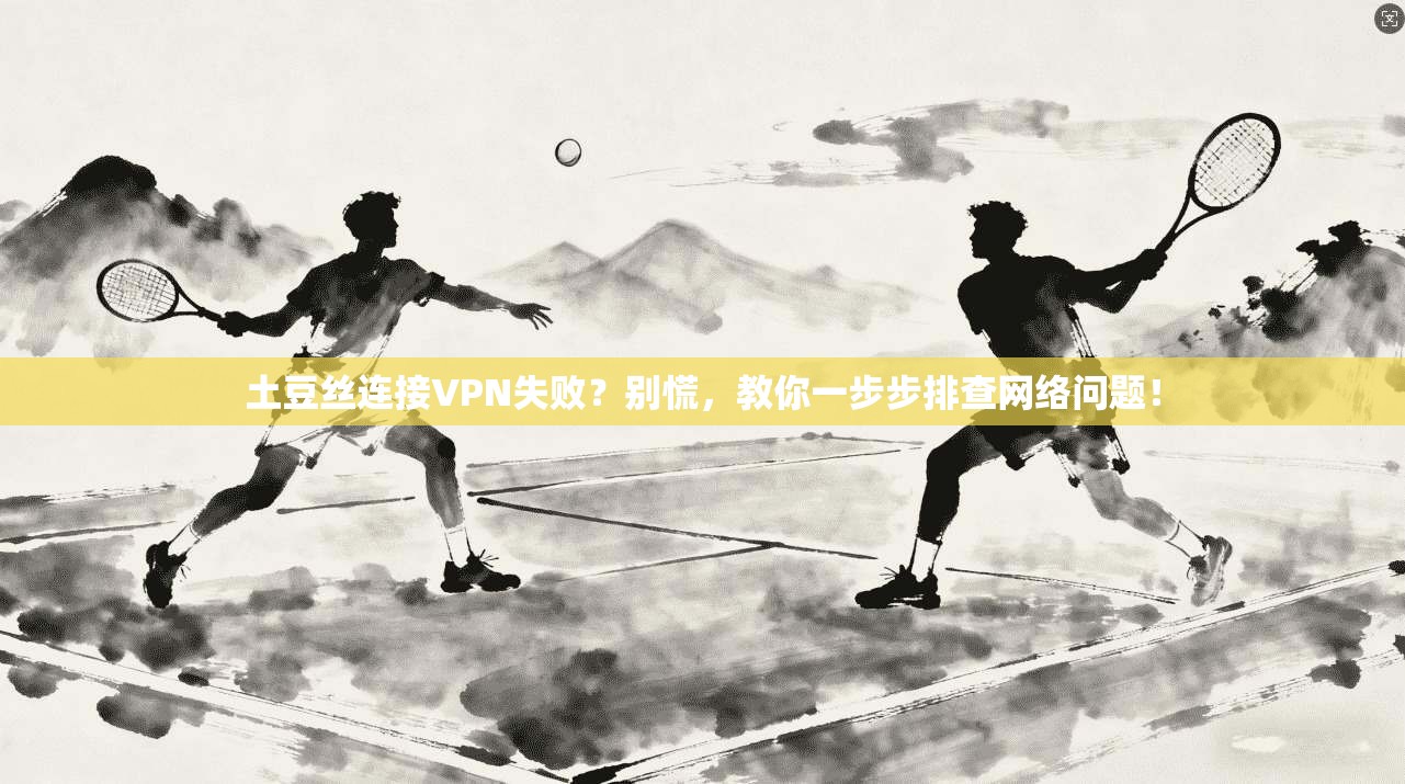 土豆丝连接VPN失败？别慌，教你一步步排查网络问题！