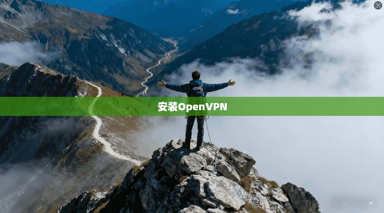 安装OpenVPN