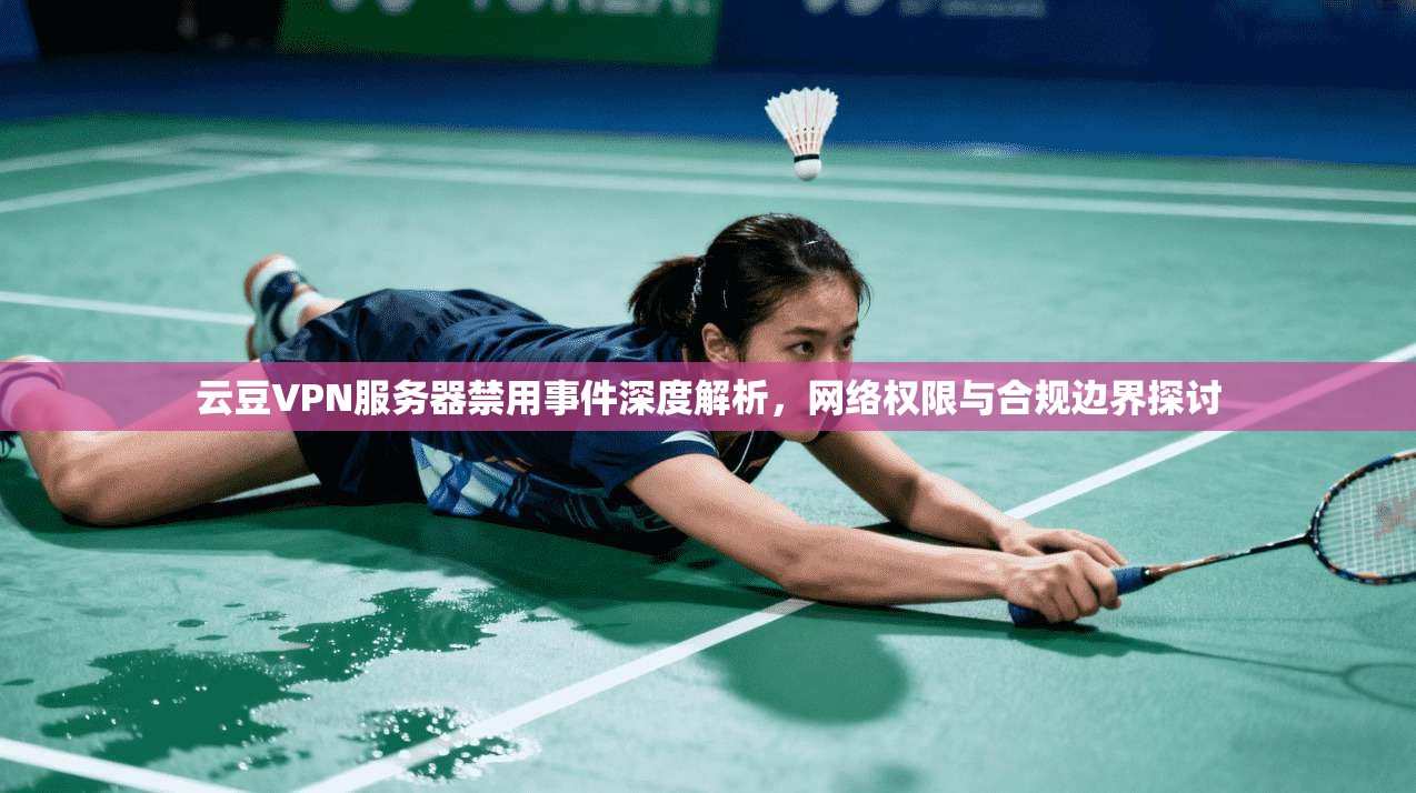 云豆VPN服务器禁用事件深度解析,网络权限与合规边界探讨