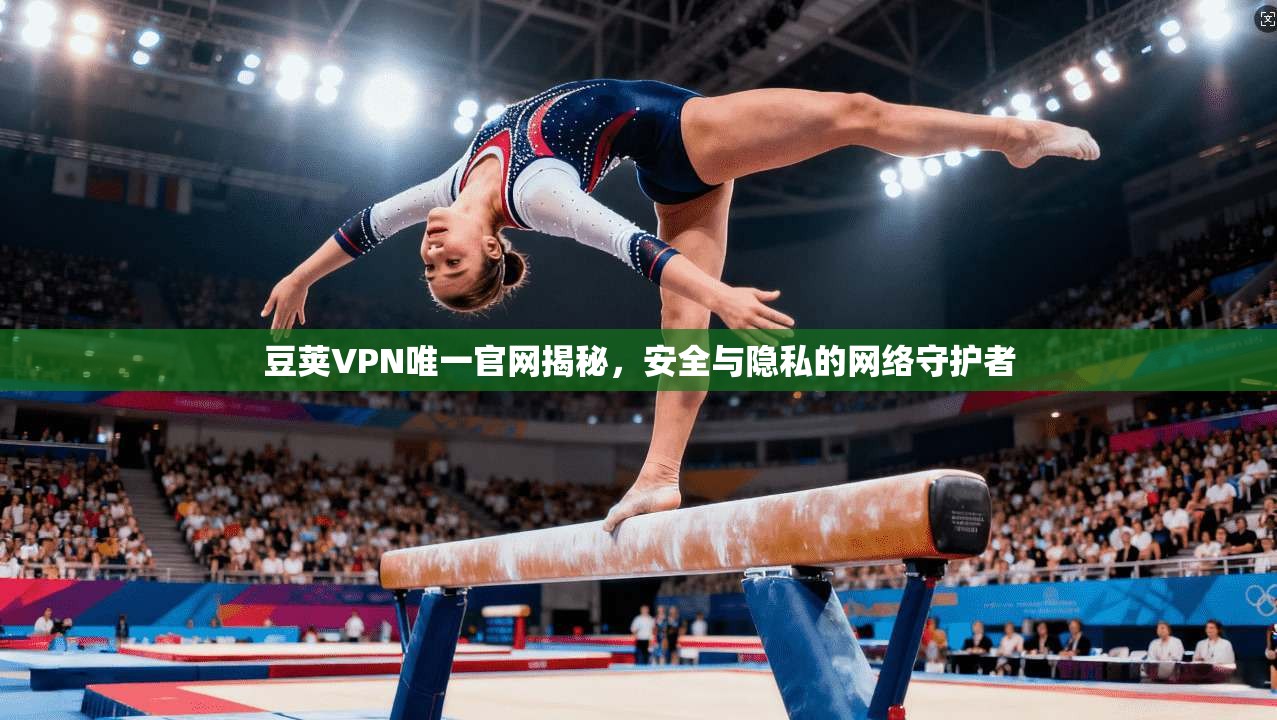 豆荚VPN唯一官网揭秘，安全与隐私的网络守护者