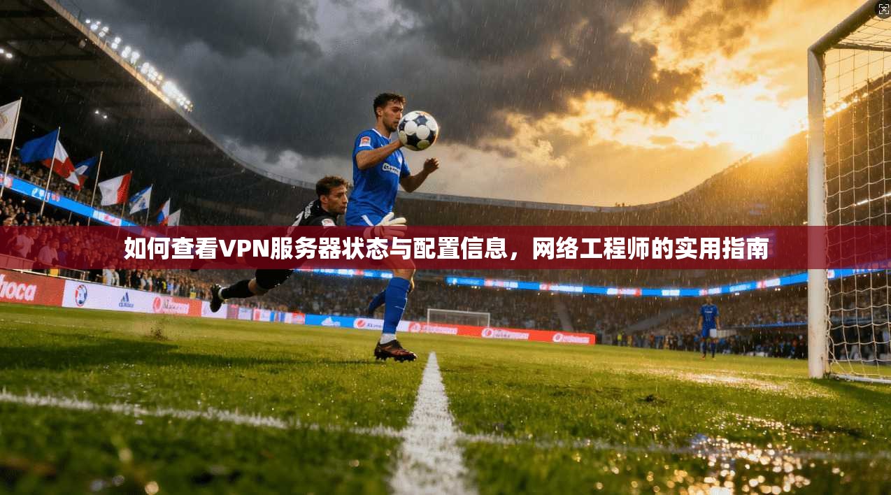 如何查看VPN服务器状态与配置信息，网络工程师的实用指南