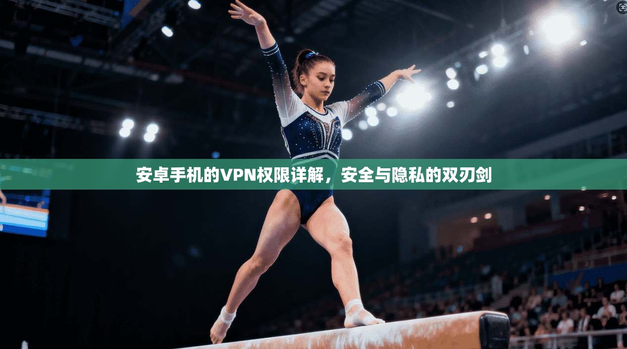 安卓手机的VPN权限详解,安全与隐私的双刃剑