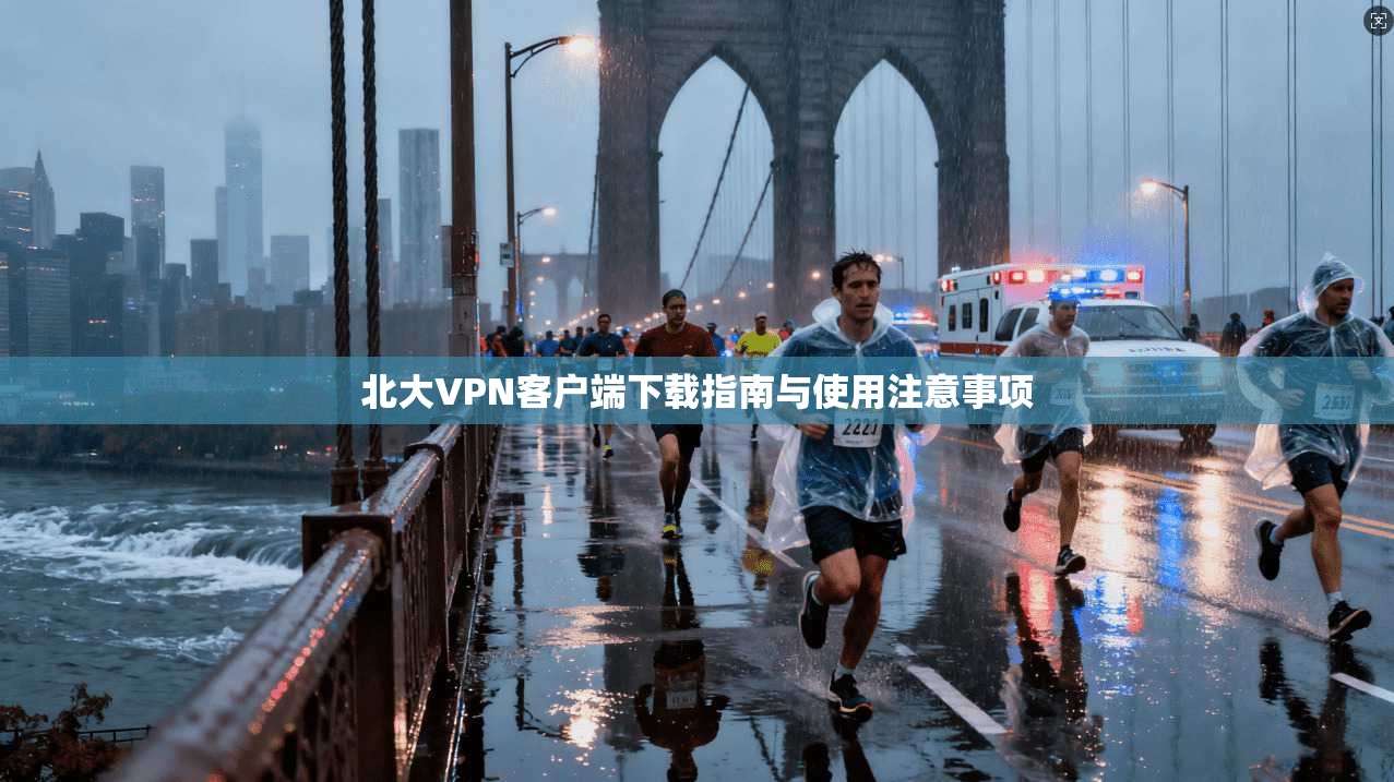 北大VPN客户端下载指南与使用注意事项