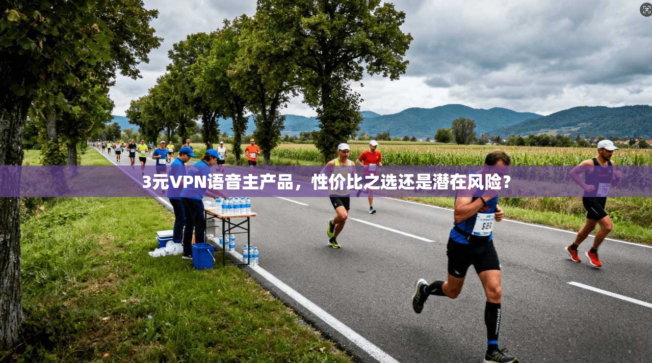 3元VPN语音主产品,性价比之选还是潜在风险?