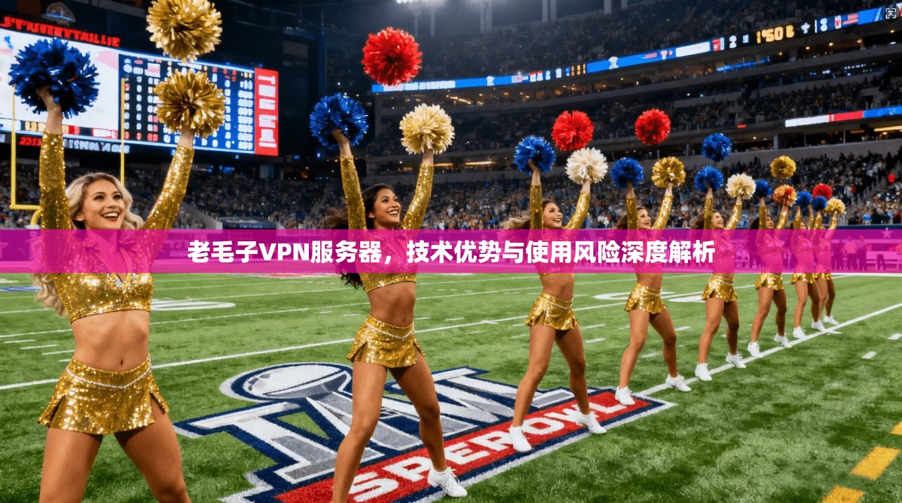 老毛子VPN服务器,技术优势与使用风险深度解析