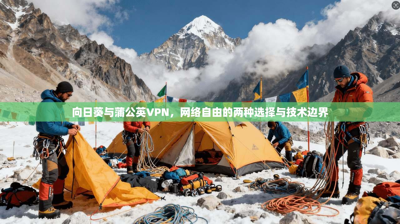 向日葵与蒲公英VPN,网络自由的两种选择与技术边界