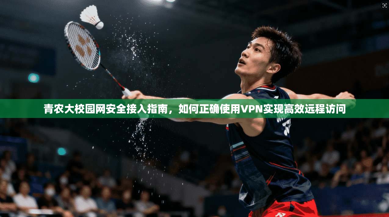 青农大校园网安全接入指南,如何正确使用VPN实现高效远程访问