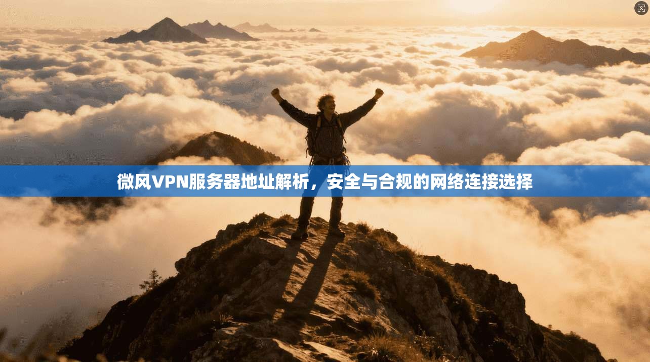 微风VPN服务器地址解析,安全与合规的网络连接选择