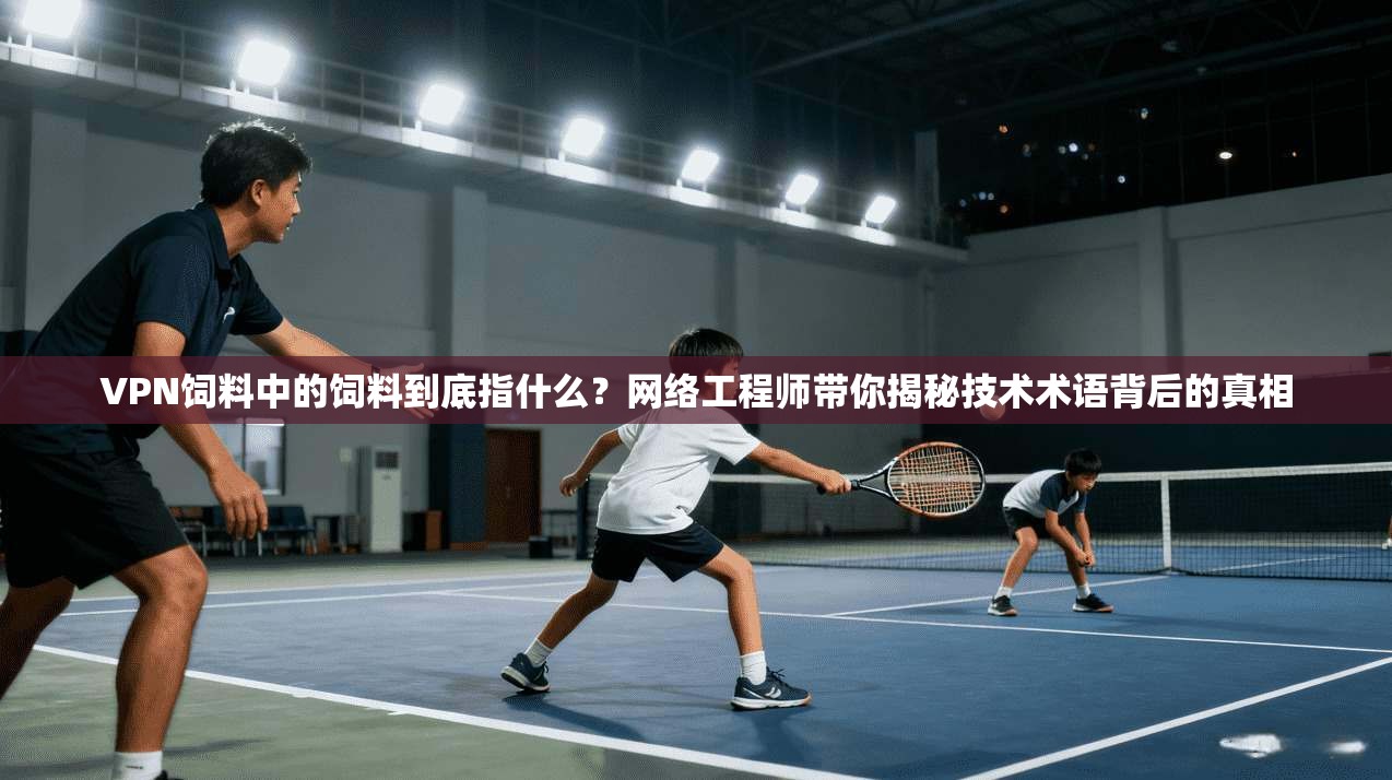 VPN饲料中的饲料到底指什么？网络工程师带你揭秘技术术语背后的真相