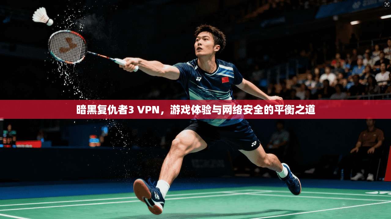 暗黑复仇者3 VPN，游戏体验与网络安全的平衡之道