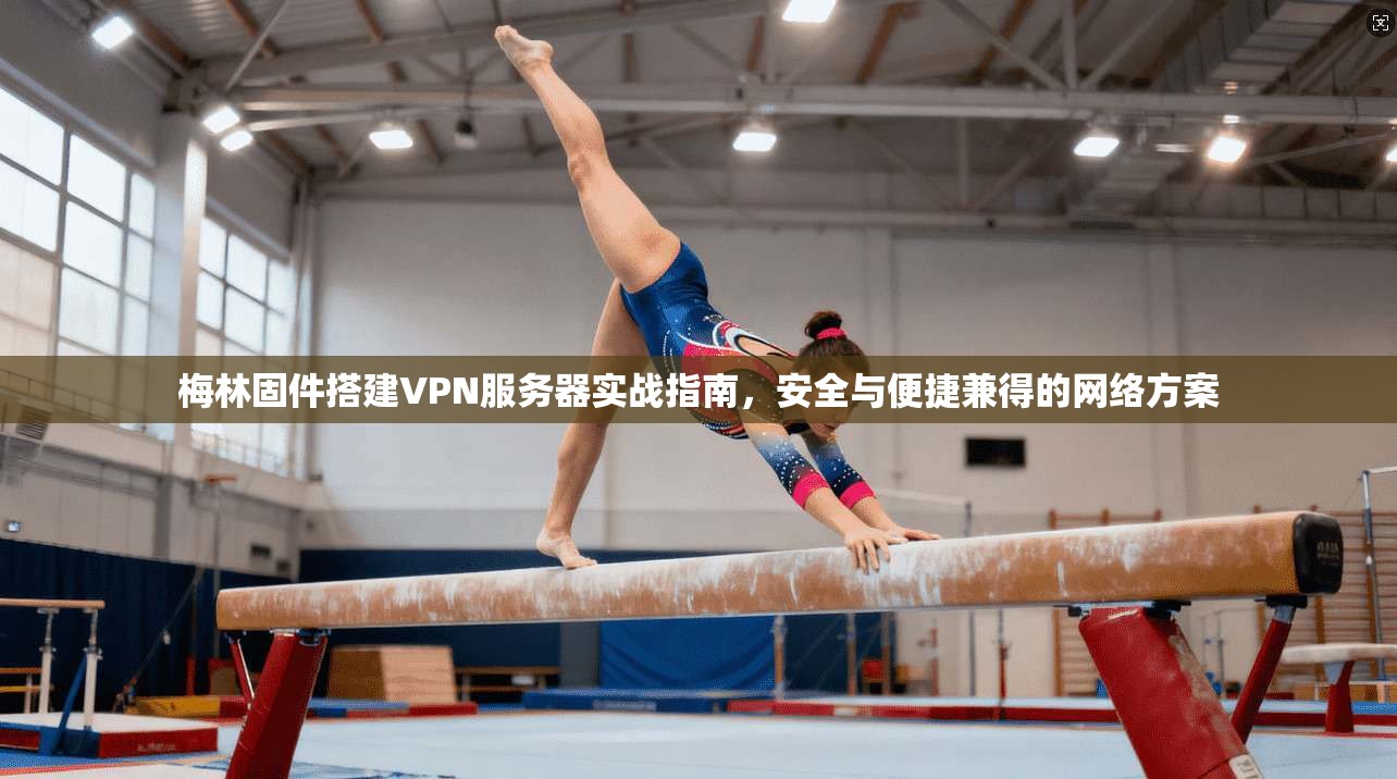 梅林固件搭建VPN服务器实战指南,安全与便捷兼得的网络方案 梅林固件搭建VPN服务器实战指南,安全与便捷兼得的网络方案
