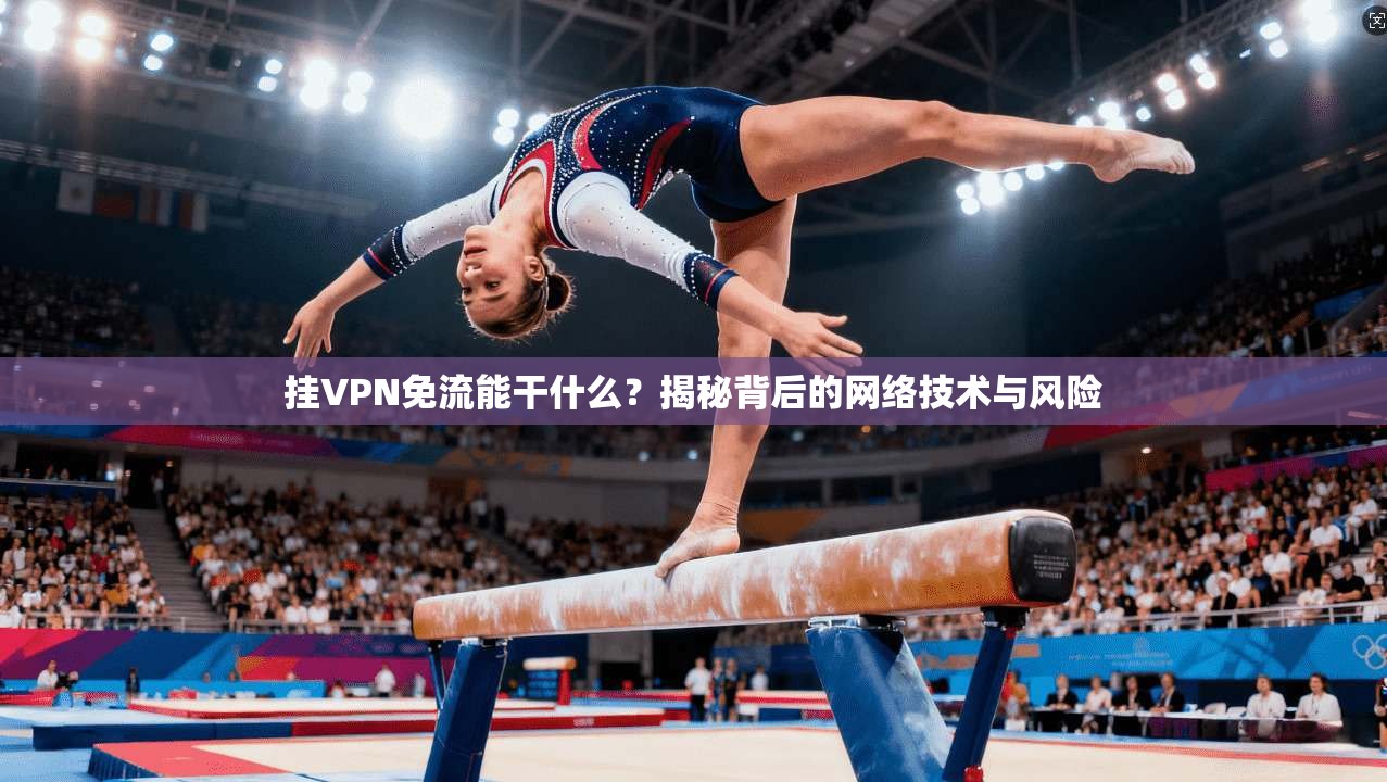 挂VPN免流能干什么？揭秘背后的网络技术与风险