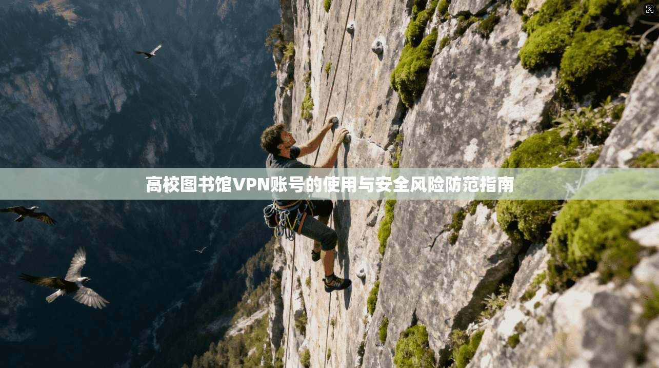 高校图书馆VPN账号的使用与安全风险防范指南