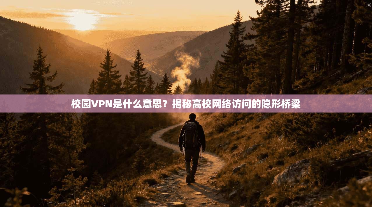 校园VPN是什么意思?揭秘高校网络访问的隐形桥梁