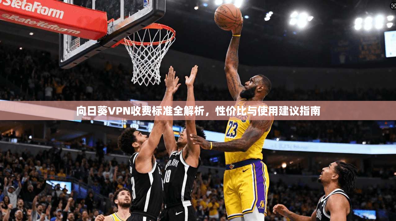 向日葵VPN收费标准全解析，性价比与使用建议指南