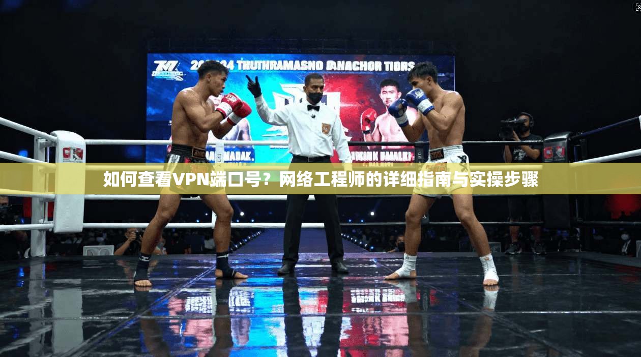 如何查看VPN端口号?网络工程师的详细指南与实操步骤