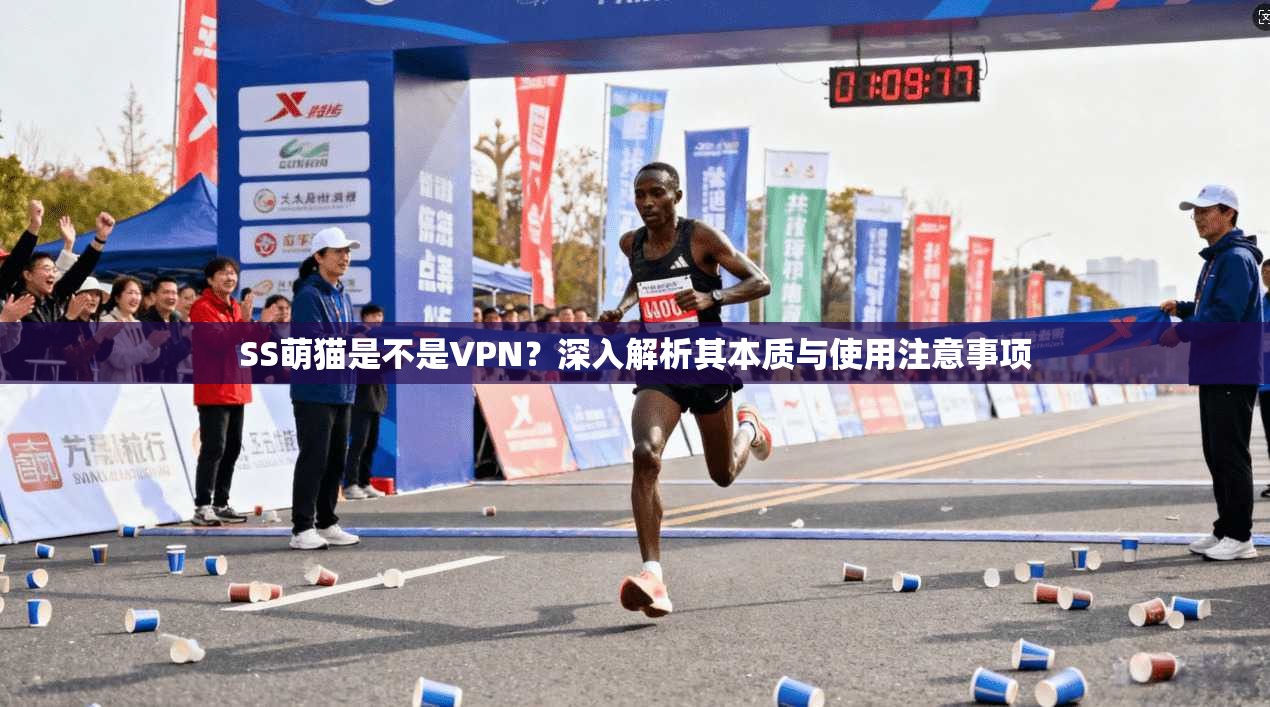 SS萌猫是不是VPN?深入解析其本质与使用注意事项