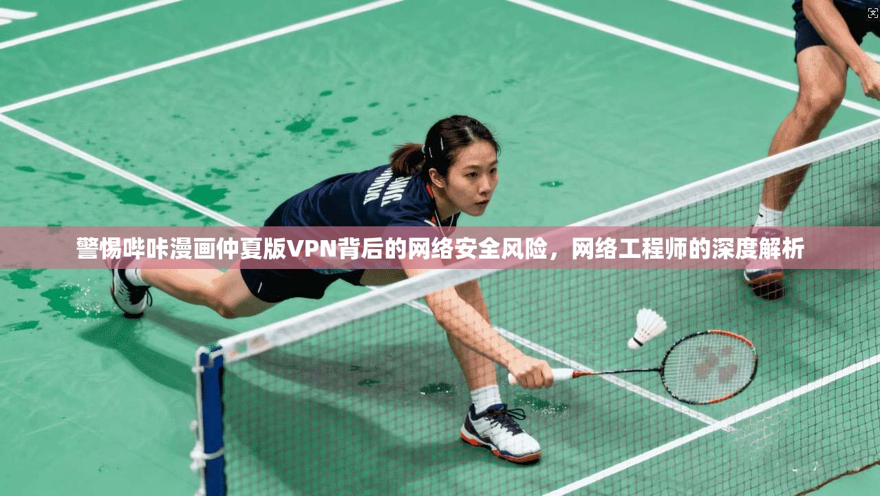 警惕哔咔漫画仲夏版VPN背后的网络安全风险,网络工程师的深度解析