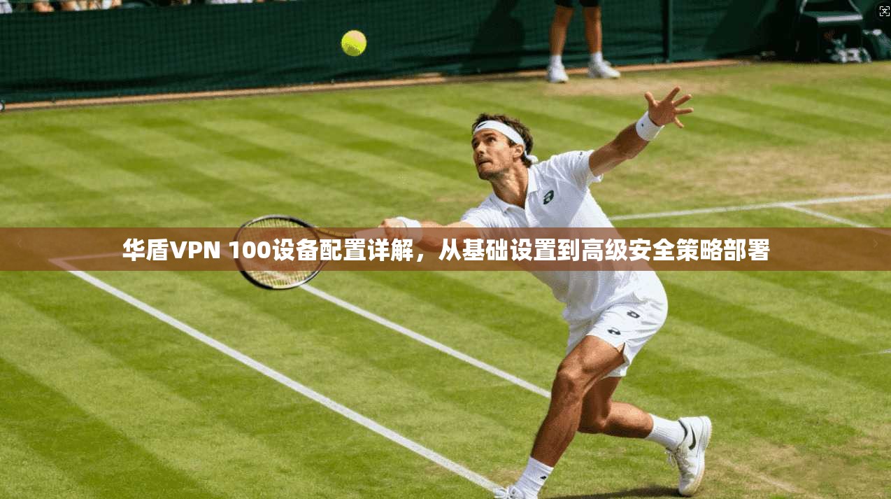 华盾VPN 100设备配置详解，从基础设置到高级安全策略部署