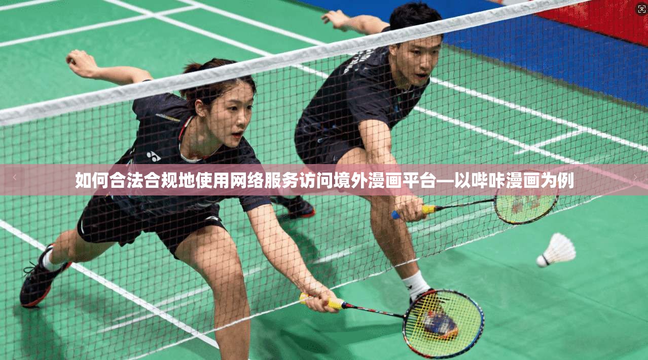如何合法合规地使用网络服务访问境外漫画平台—以哔咔漫画为例