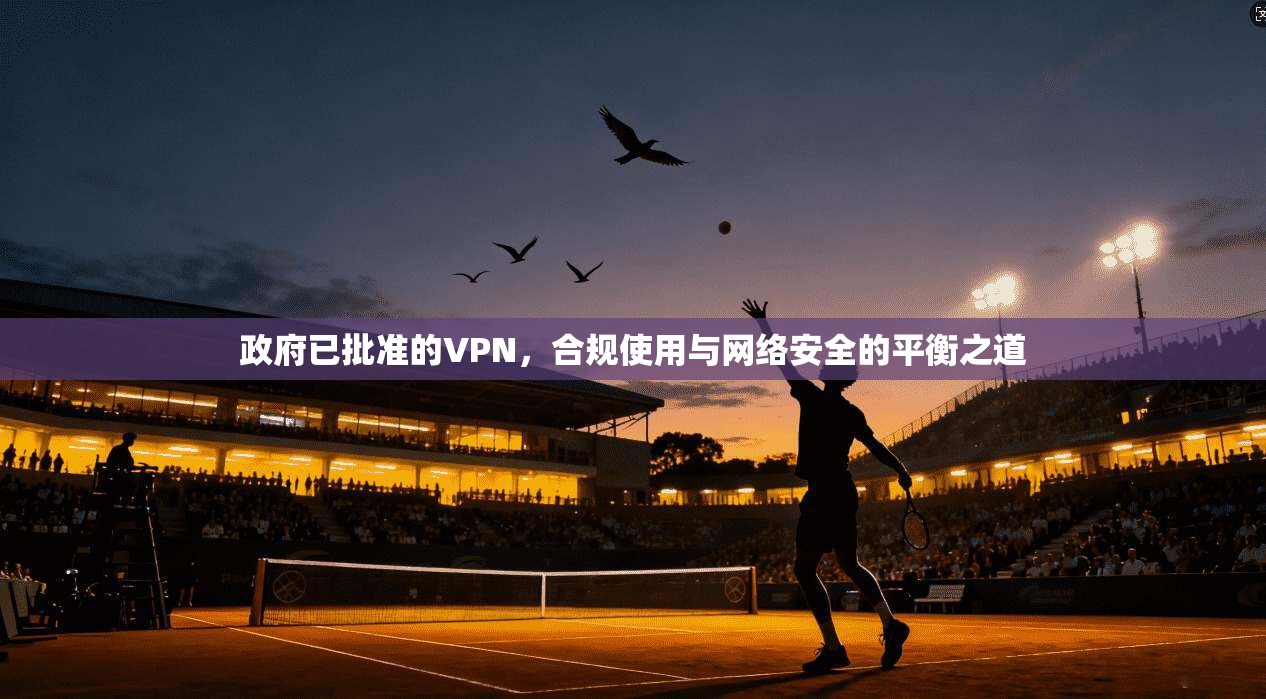 政府已批准的VPN,合规使用与网络安全的平衡之道